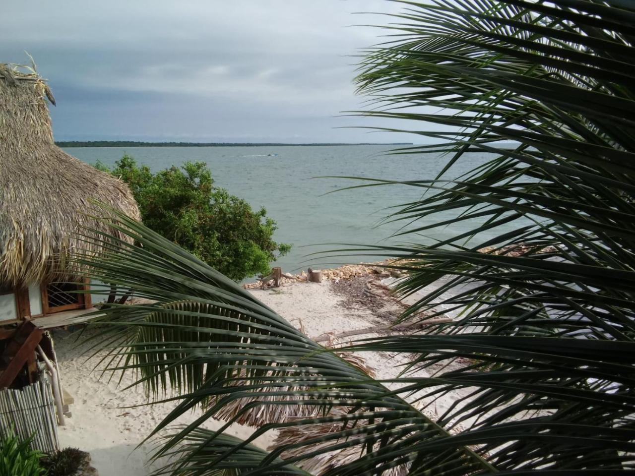 Hotel Casa Sattva- Bed & Breakfast Rincon Exterior photo